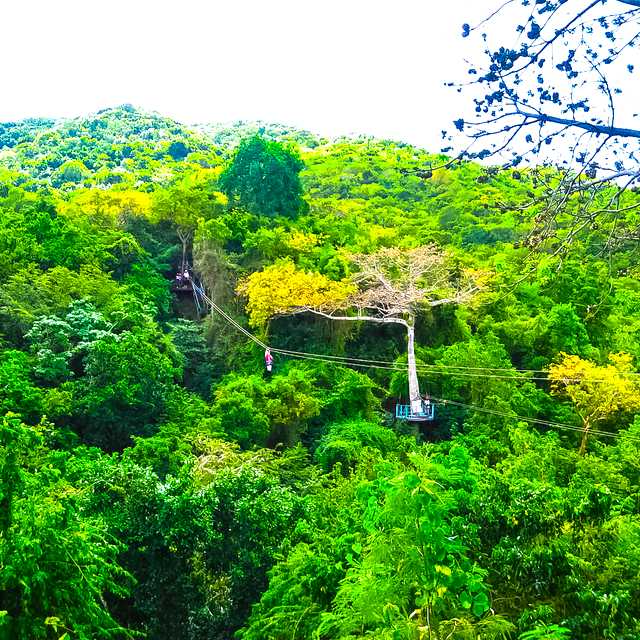 Tropical Adventures private day trip from St Johns